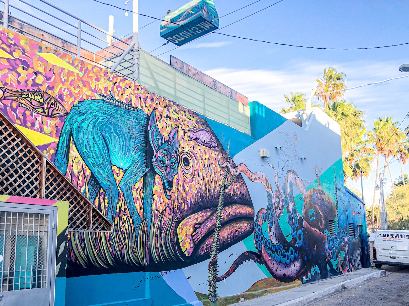 La Paz Baja Street Mural – Never Say Someday