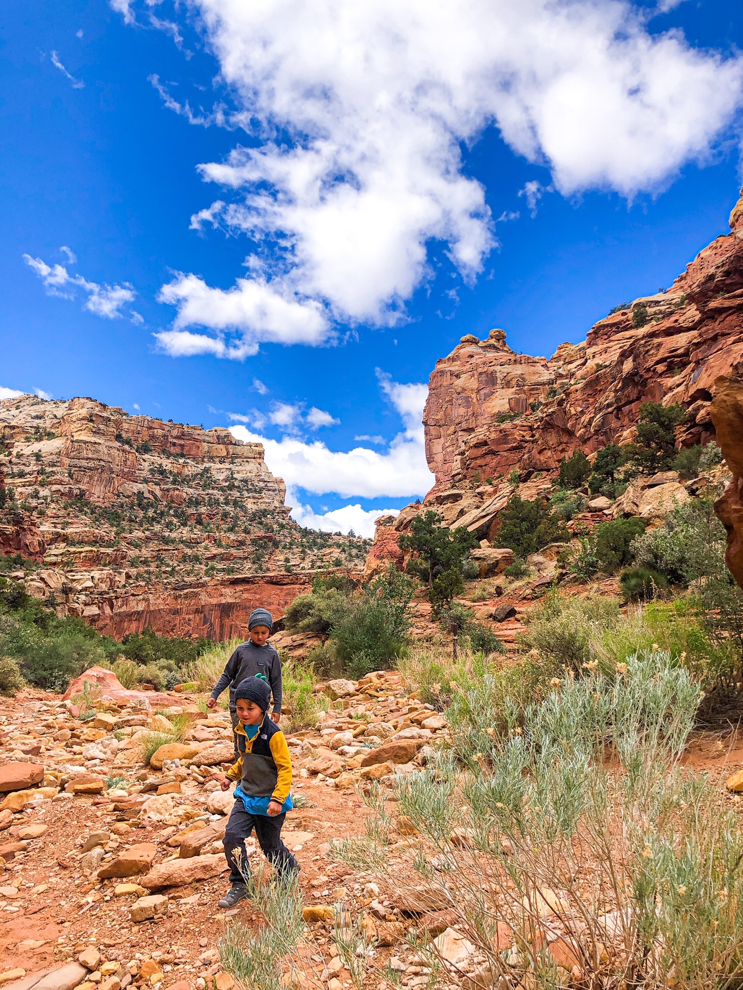 Bryce Canyon and Capitol Reef Hiking Adventure